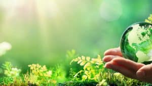 plantas e luz representando o desenvolvimento sustentável