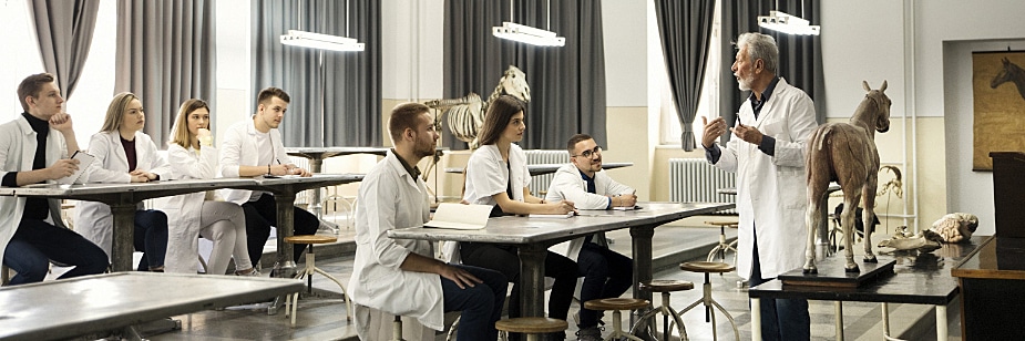 estudantes de medicina veterinária
