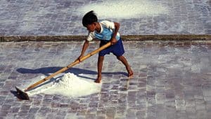 trabalho infantil