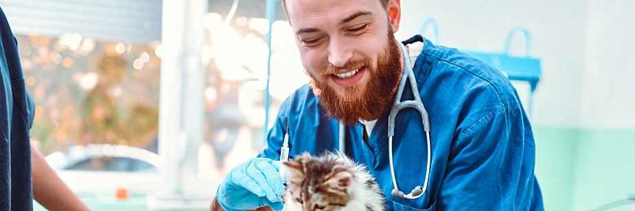 quanto ganha um veterinário
