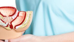 sistema reprodutor masculino