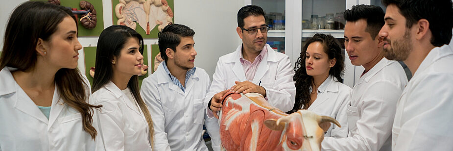 medicina veterinária nota de corte