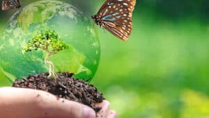 biodiversidade