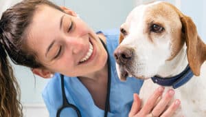 Faculdade de Medicina Veterinária