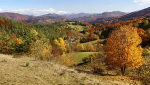 paisagem de árvores com cores diferentes na Europa