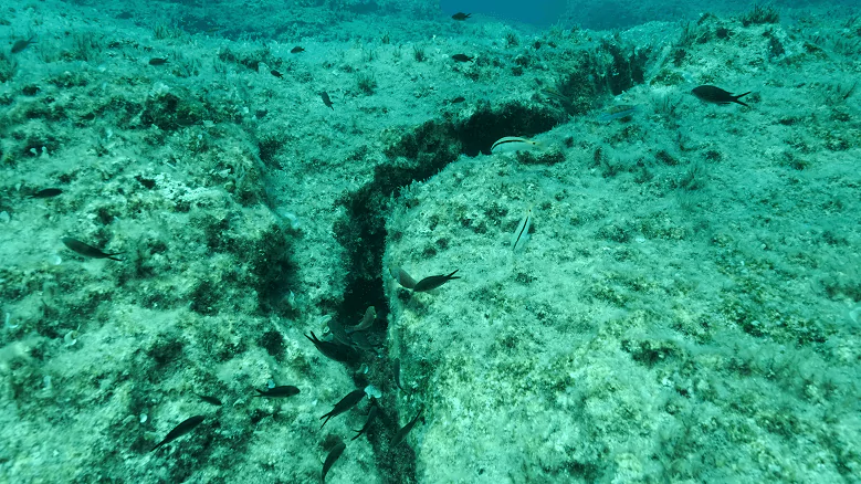 Rachadura no fundo do mar com cardume de peixes