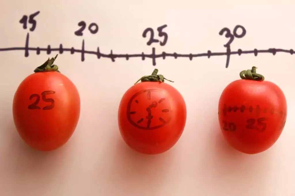 Tomates marcados com caneta preta